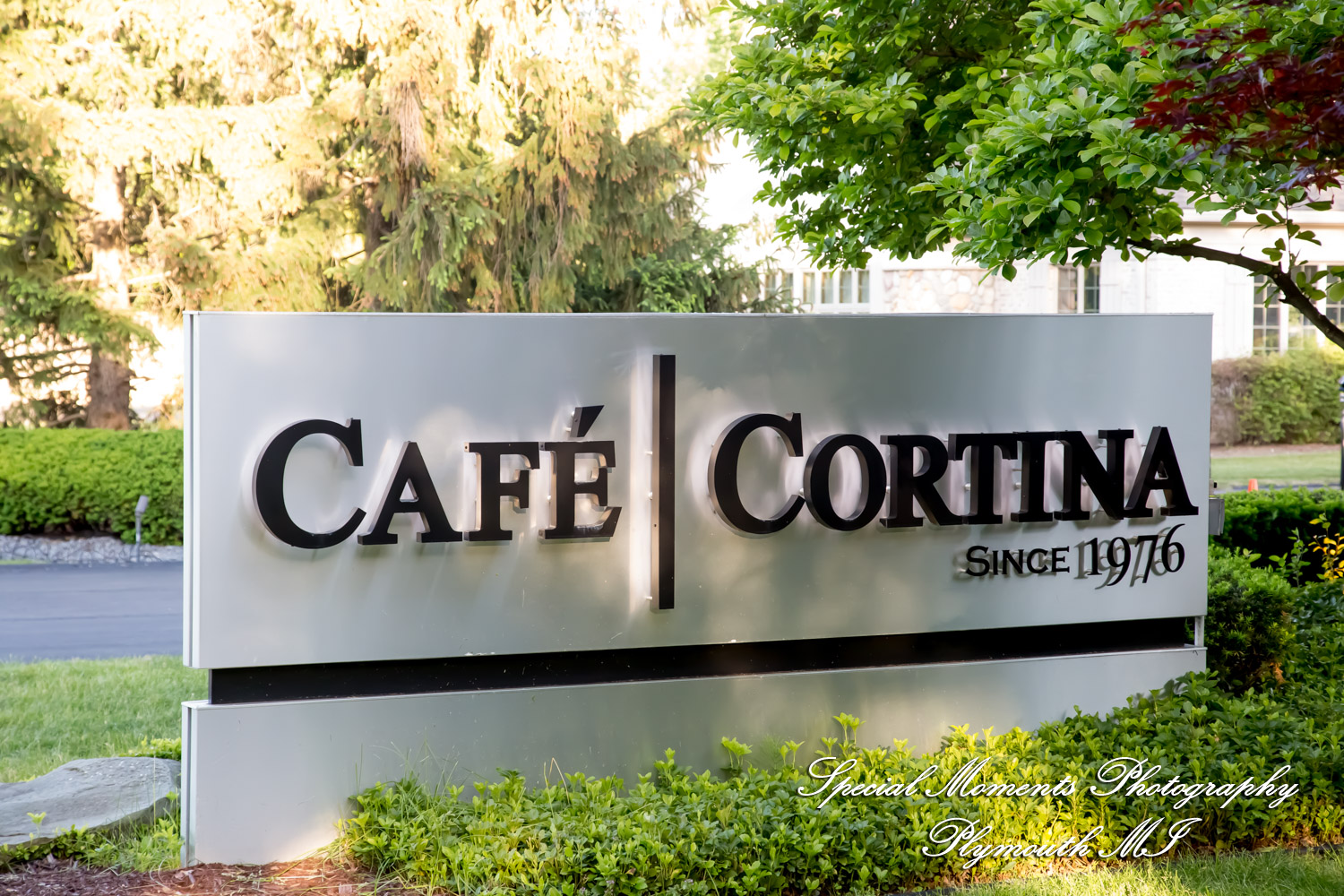 Leah & Bruno at Cafe Cortina Farmington Hills MI wedding photography