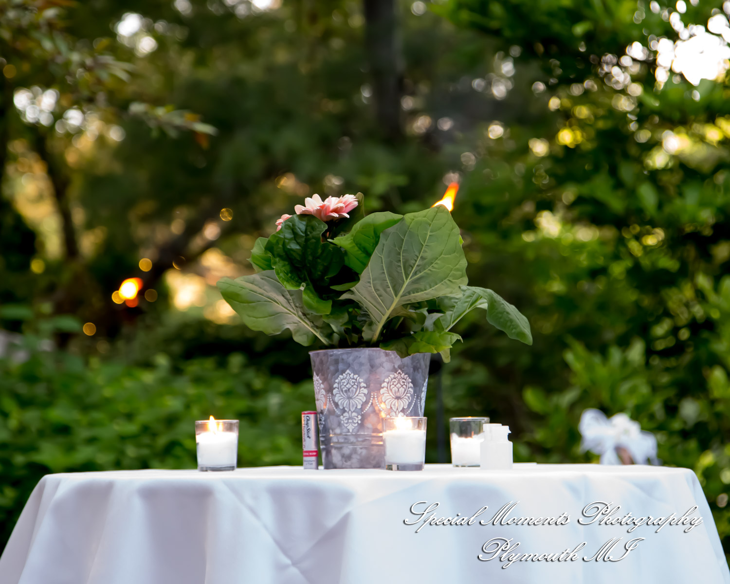 Leah & Bruno at Cafe Cortina Farmington Hills MI wedding photography