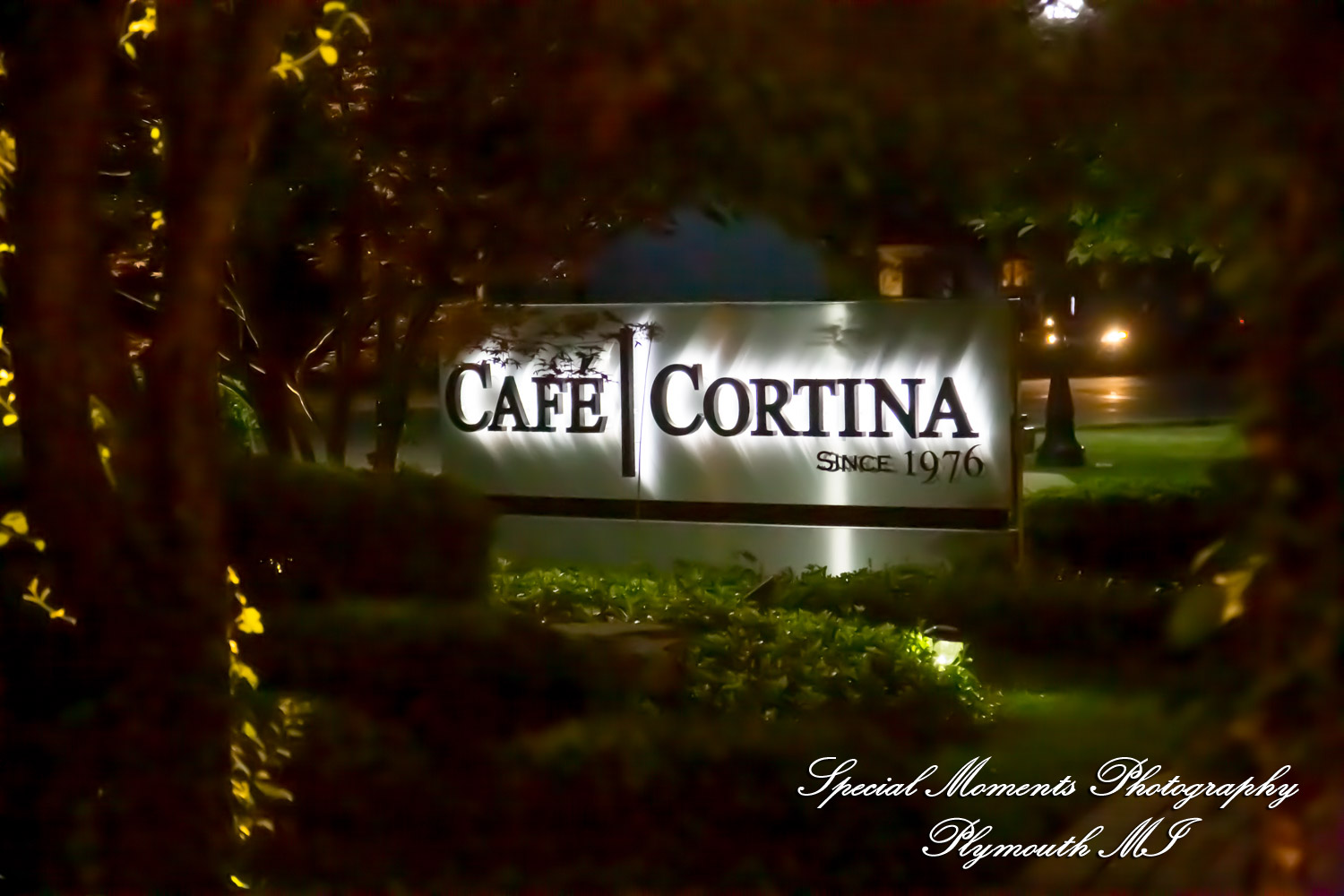 Leah & Bruno at Cafe Cortina Farmington Hills MI wedding photography