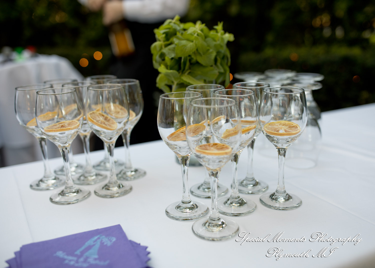 Miriam & Patrick at Cafe Cortina Farmington Hills MI wedding photography