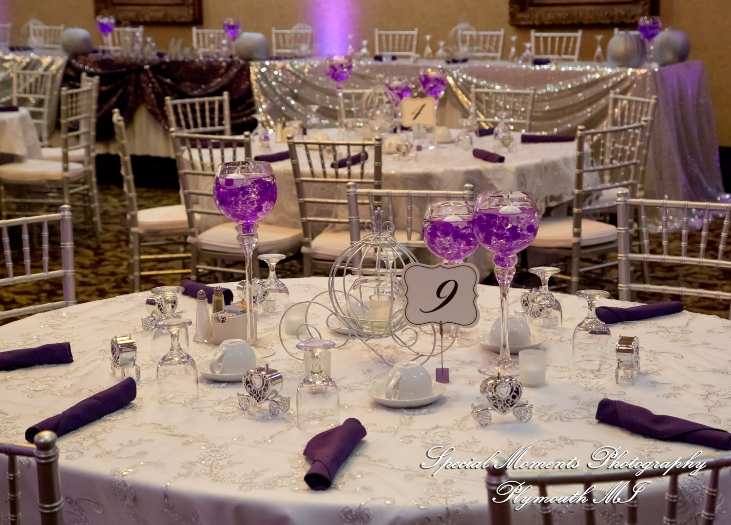 Tonya & Kevin at Crystal Gardens Event Center Howell MI wedding photography