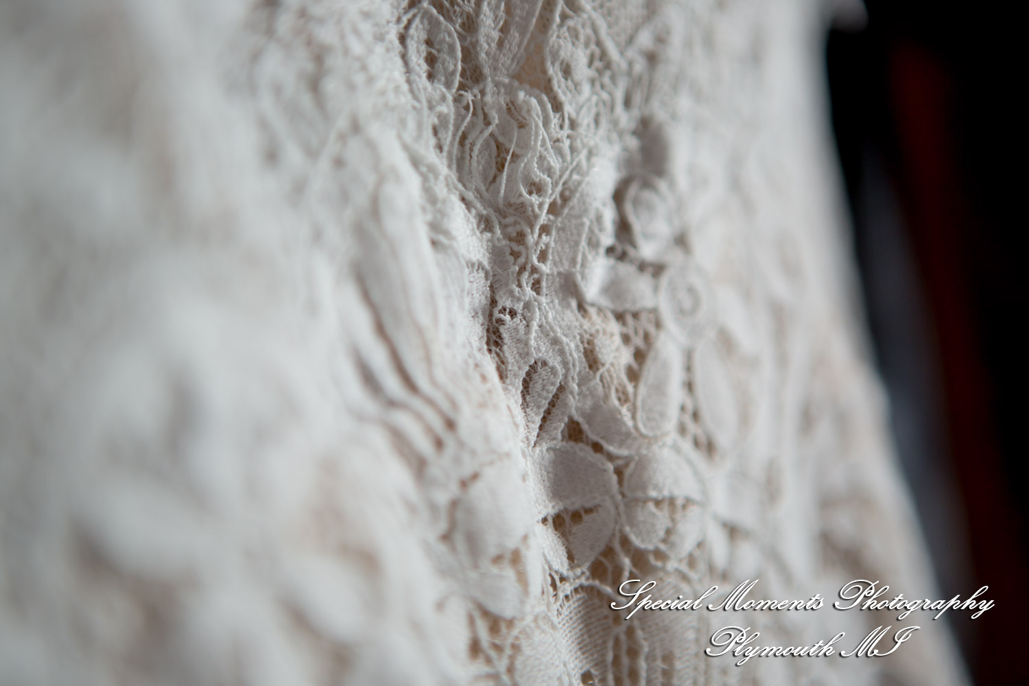 Caitlin & Chase at St. Clair Inn Saint Clair MI wedding photography