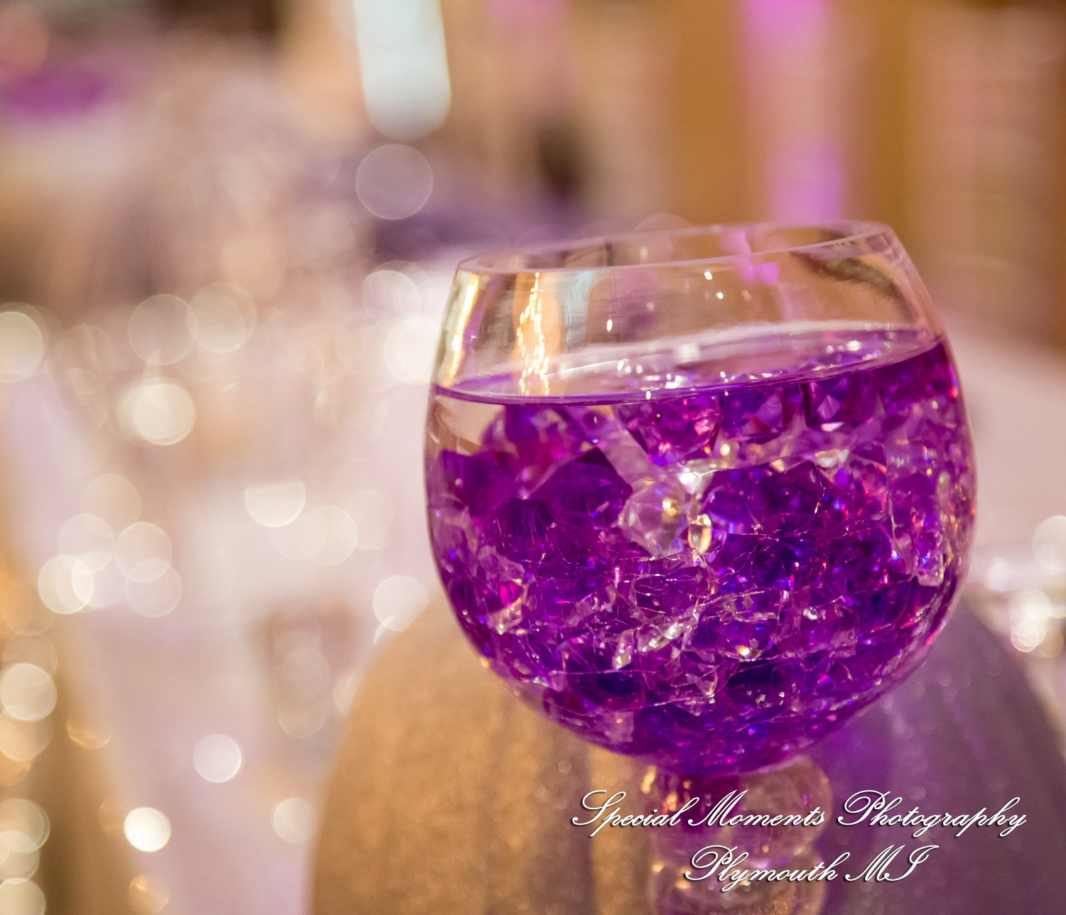 Tonya & Kevin at Crystal Gardens Event Center Howell MI wedding photography
