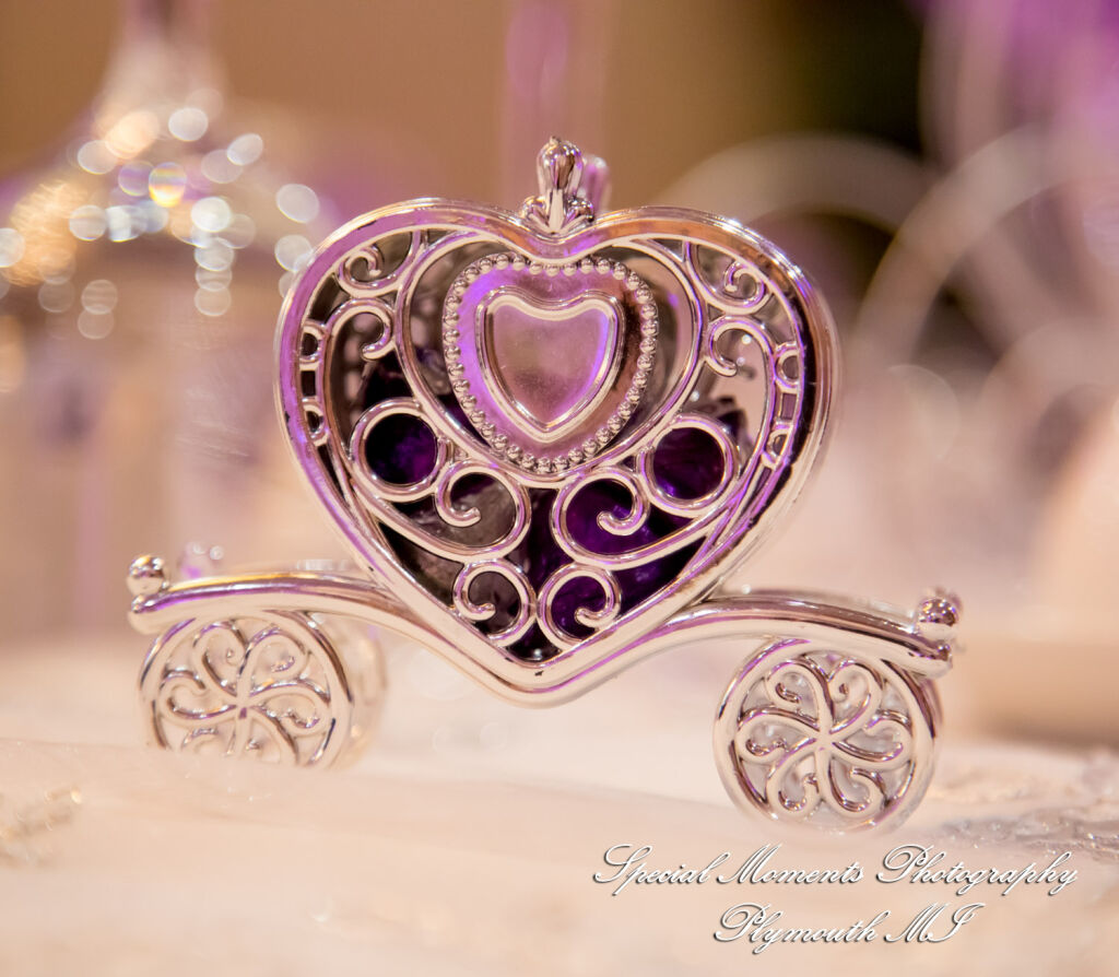 Tonya & Kevin at Crystal Gardens Event Center Howell MI wedding photography