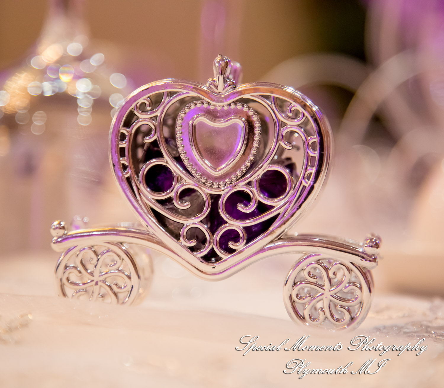Tonya & Kevin at Crystal Gardens Event Center Howell MI wedding photography