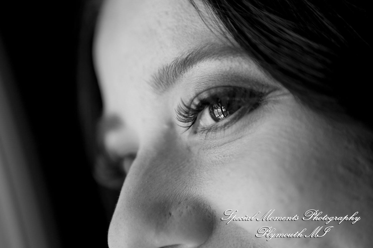 Caitlin & Chase at St. Clair Inn Saint Clair MI wedding photography