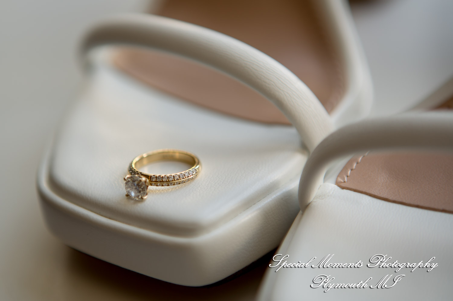 Caitlin & Chase at St. Clair Inn Saint Clair MI wedding photography