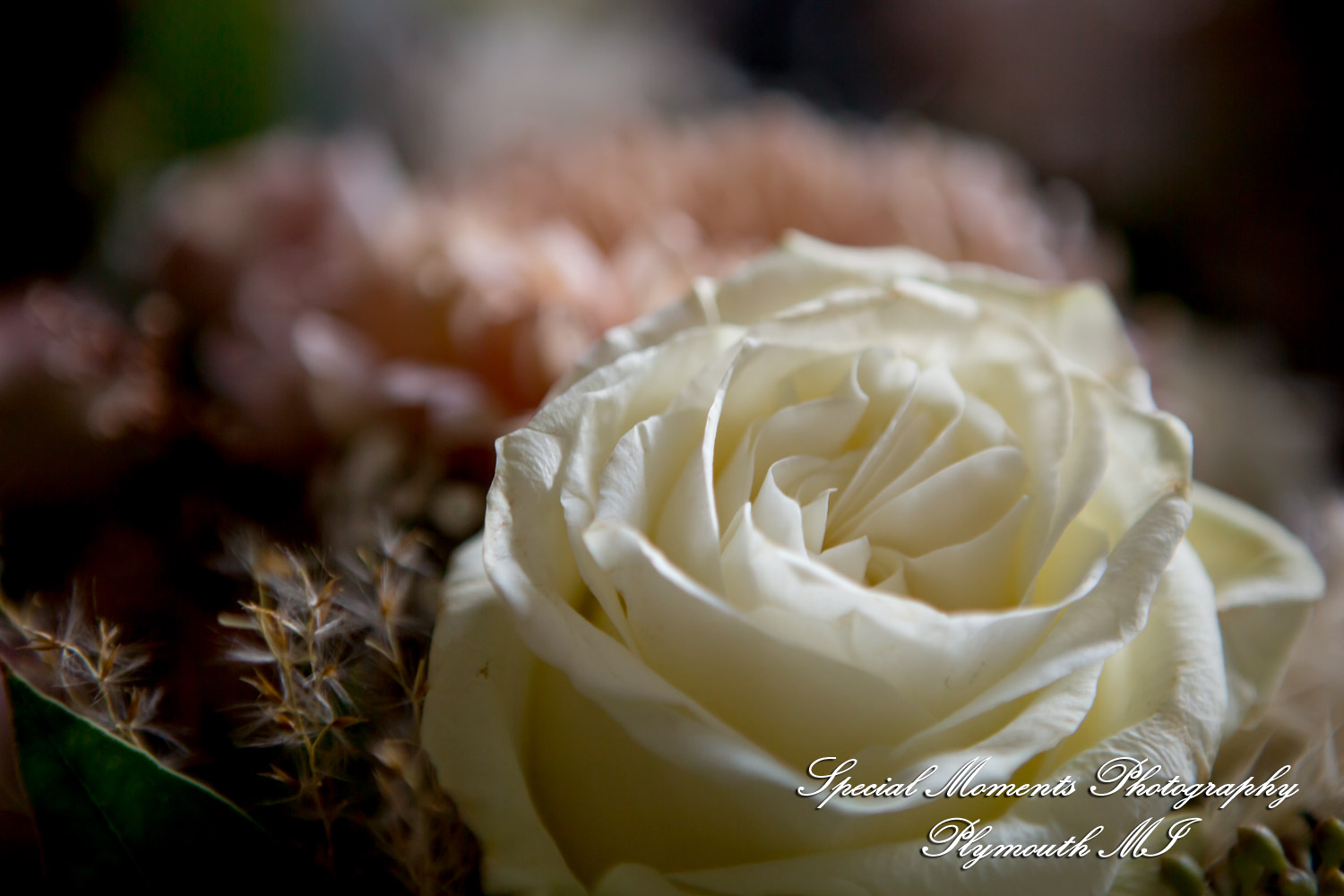 Caitlin & Chase at St. Clair Inn Saint Clair MI wedding photography