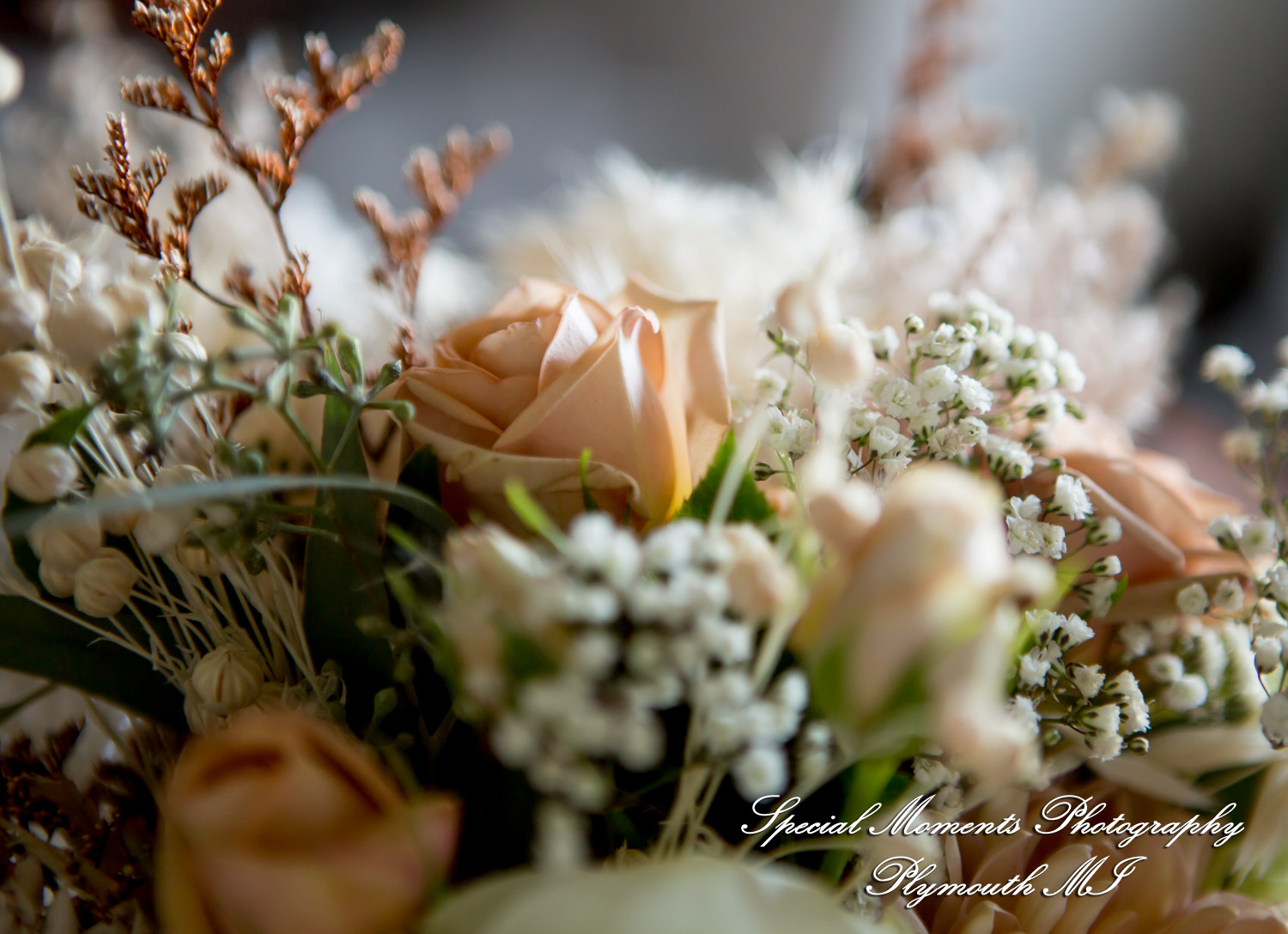 Caitlin & Chase at St. Clair Inn Saint Clair MI wedding photography