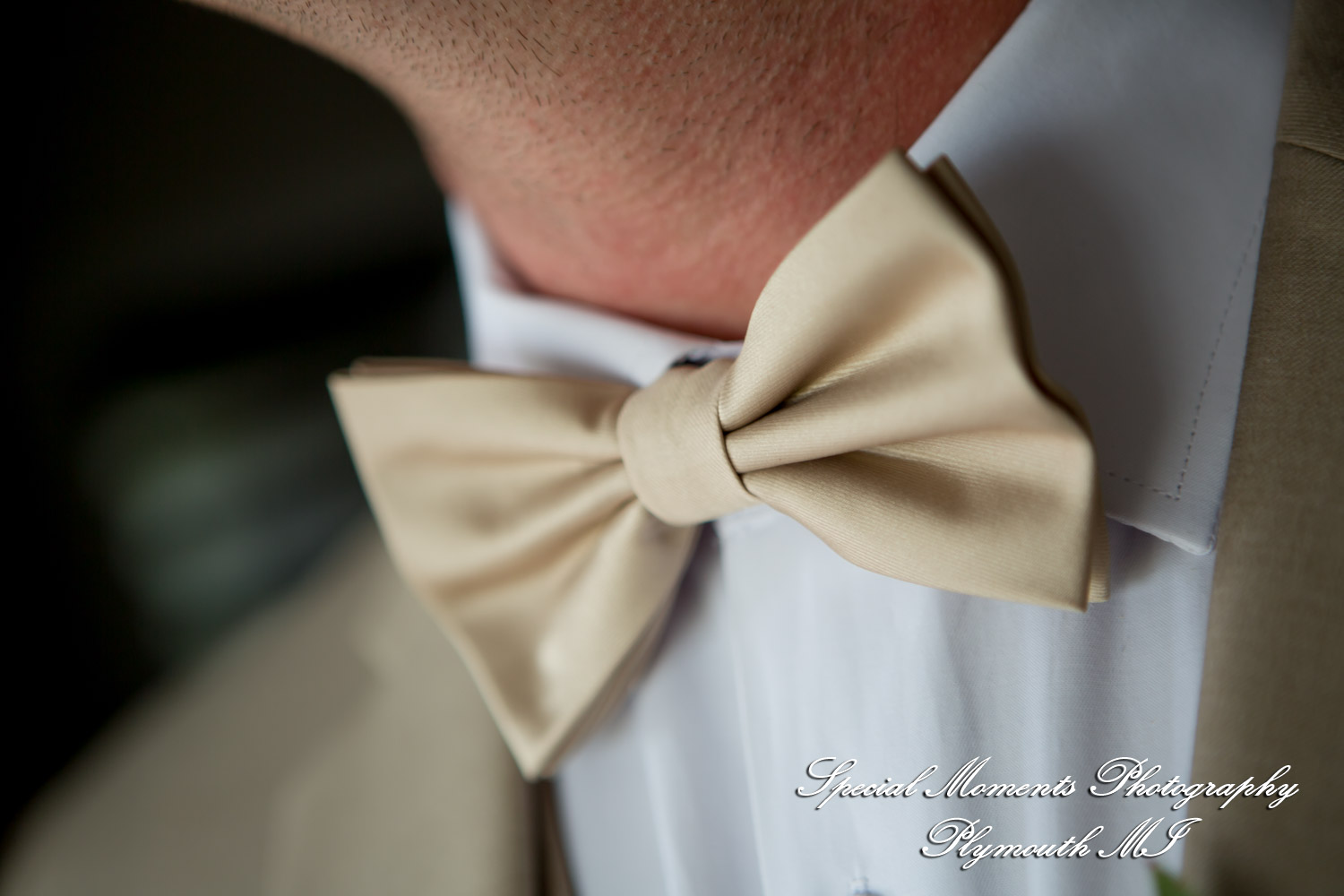 Caitlin & Chase at St. Clair Inn Saint Clair MI wedding photography
