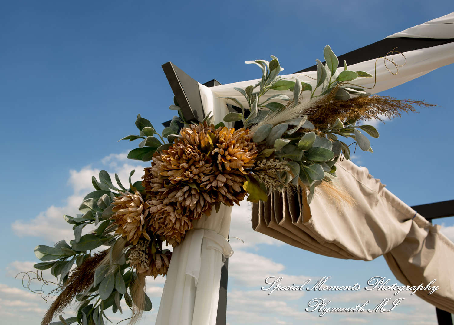 Caitlin & Chase at St. Clair Inn Saint Clair MI wedding photography
