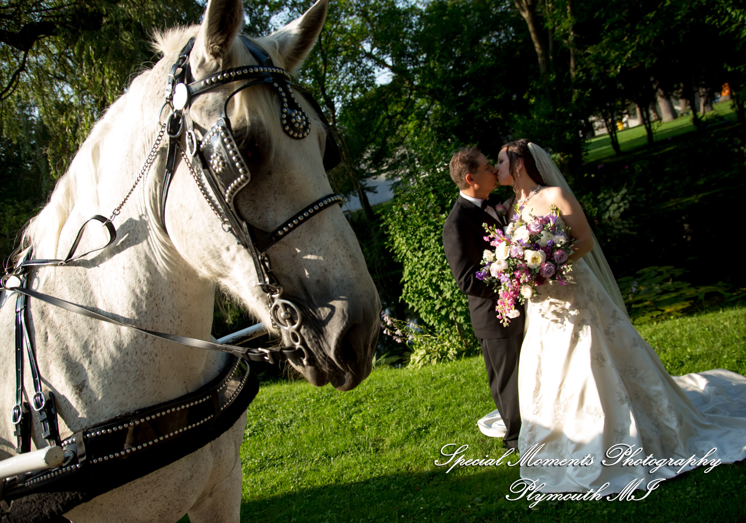 Tonya & Kevin at Crystal Gardens Event Center Howell MI wedding photography