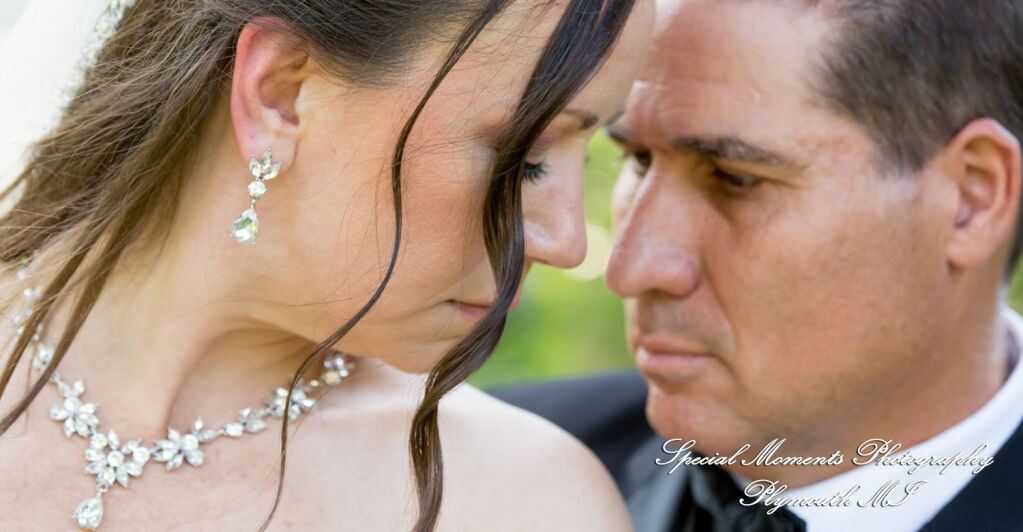 Tonya & Kevin at Crystal Gardens Event Center Howell MI wedding photography