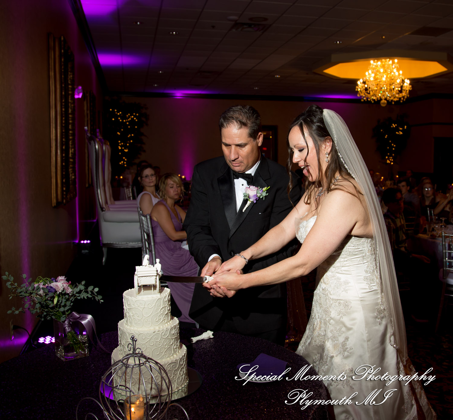 Tonya & Kevin at Crystal Gardens Event Center Howell MI wedding photography