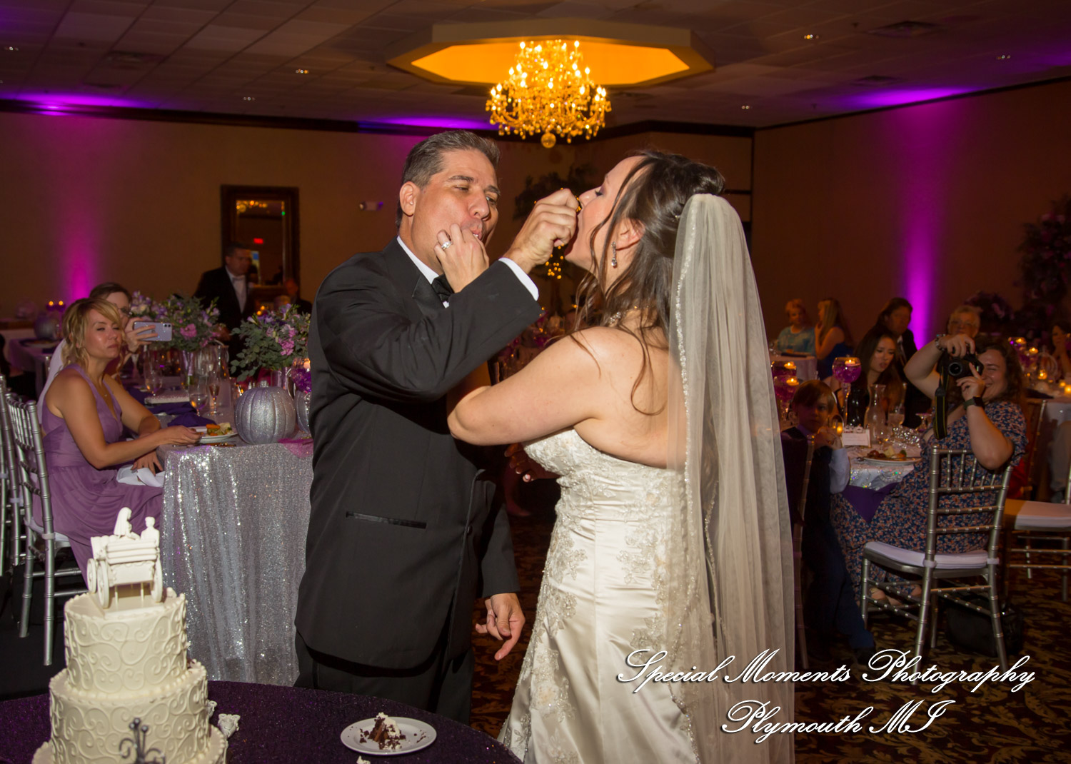 Tonya & Kevin at Crystal Gardens Event Center Howell MI wedding photography