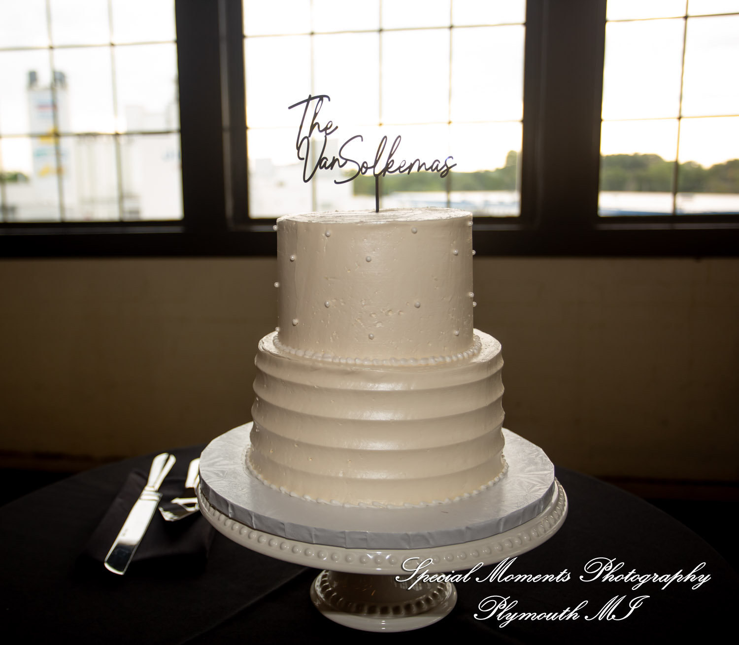Ryli & Bennett at The Collins at the Clocktower Chelsea MI wedding photography