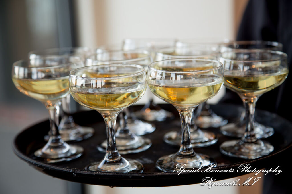Caitlin & Chase at St. Clair Inn Saint Clair MI wedding photography