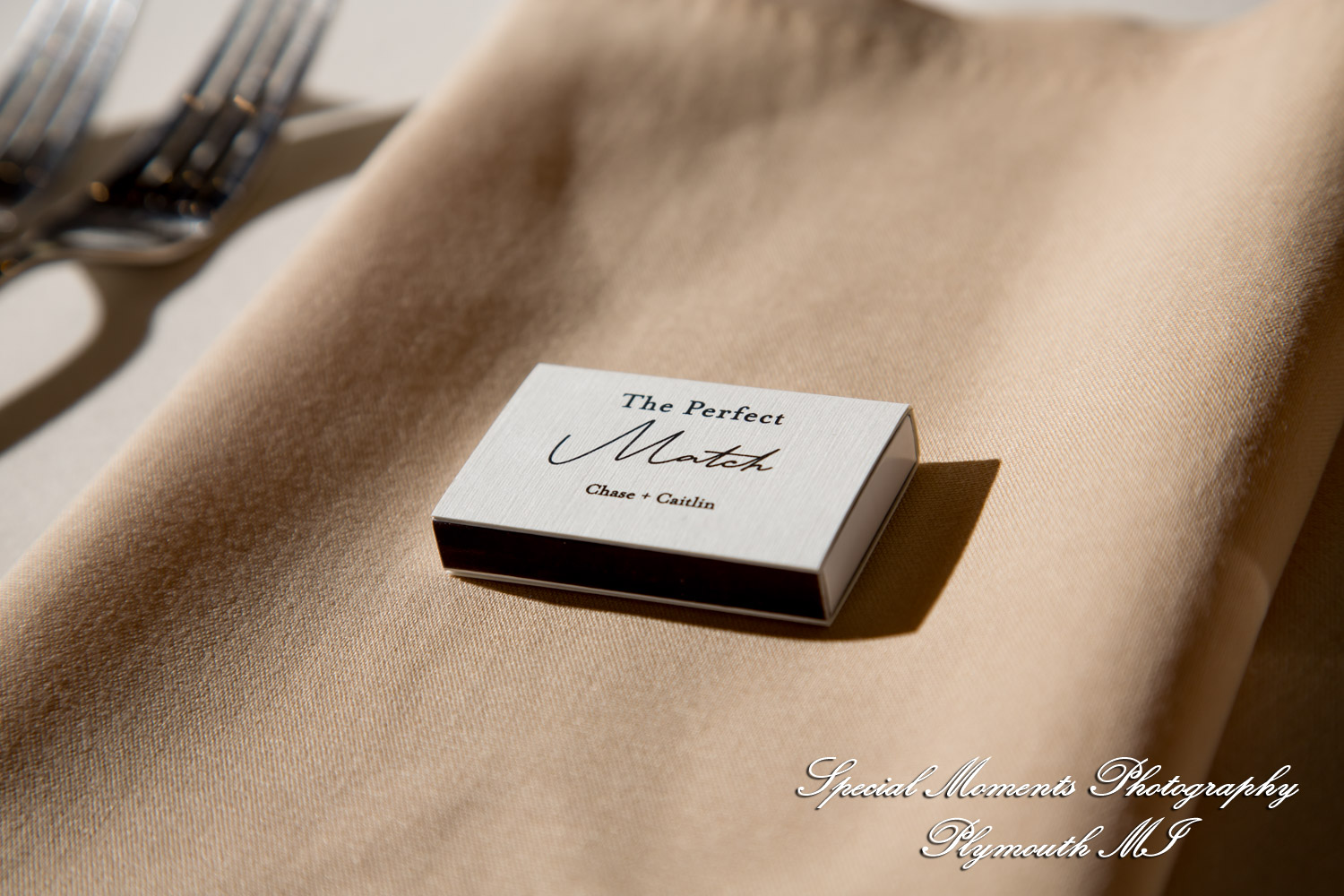 Caitlin & Chase at St. Clair Inn Saint Clair MI wedding photography