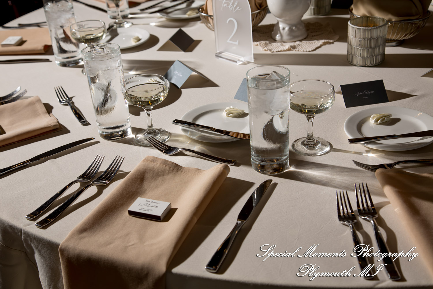 Caitlin & Chase at St. Clair Inn Saint Clair MI wedding photography