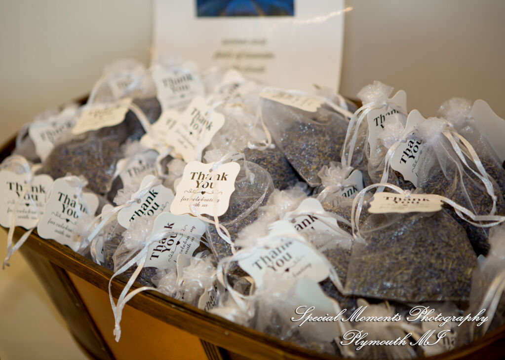 Caitlin & Chase at St. Clair Inn Saint Clair MI wedding photography