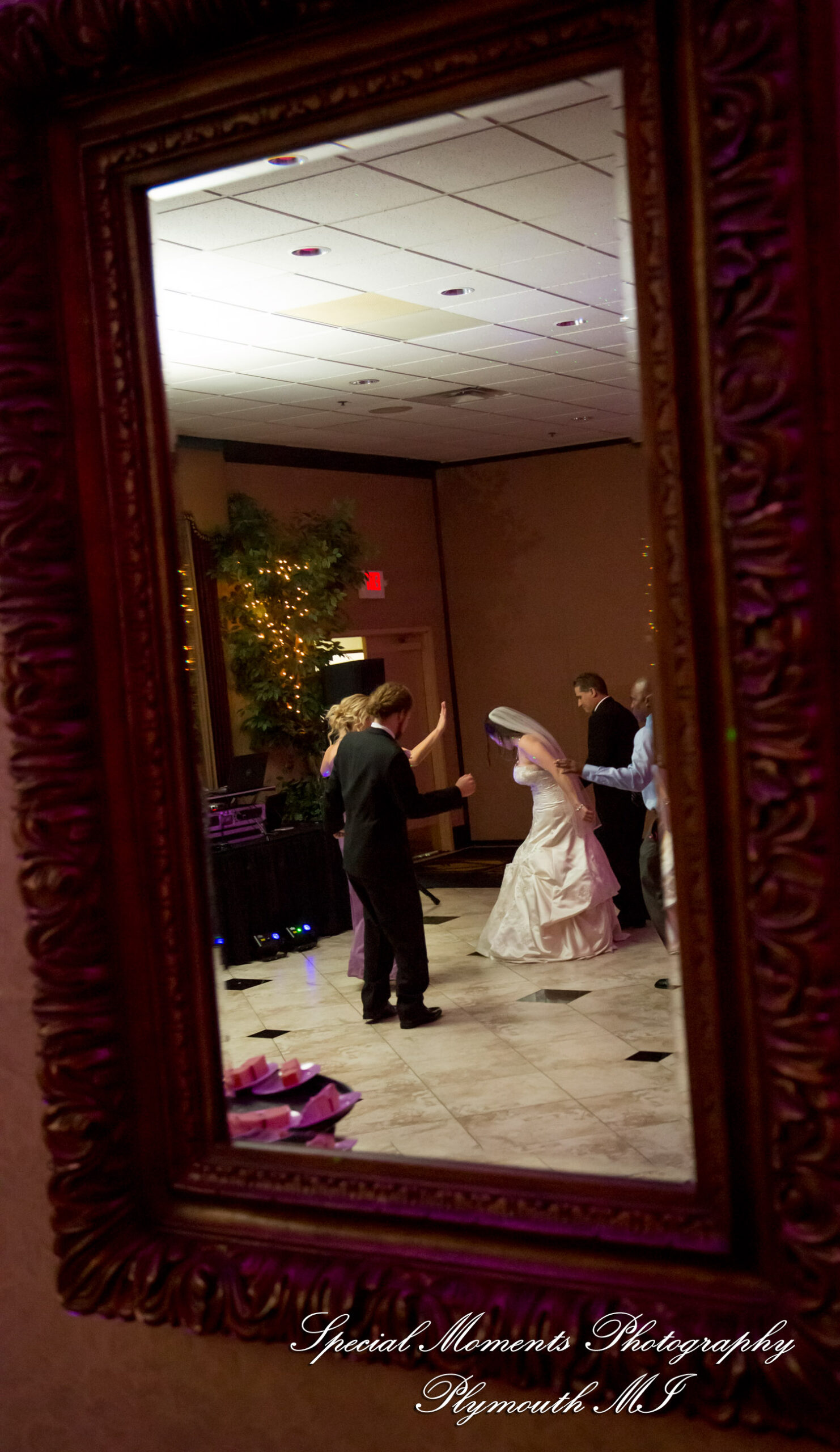 Tonya & Kevin at Crystal Gardens Event Center Howell MI wedding photography