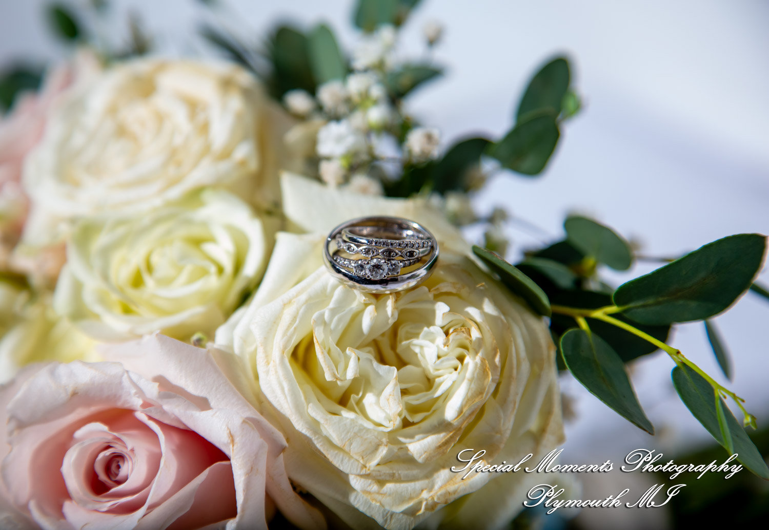 Grace & Edwin at Meeting House Grand Ballroom MI wedding photography