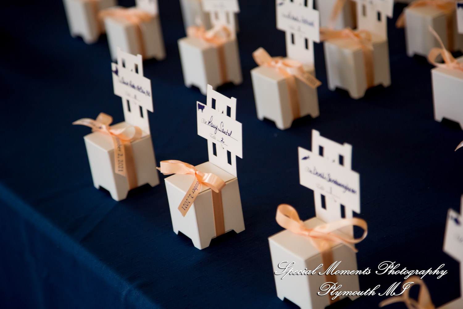 Tameka & James at Detroit Marriott Troy MI wedding photography
