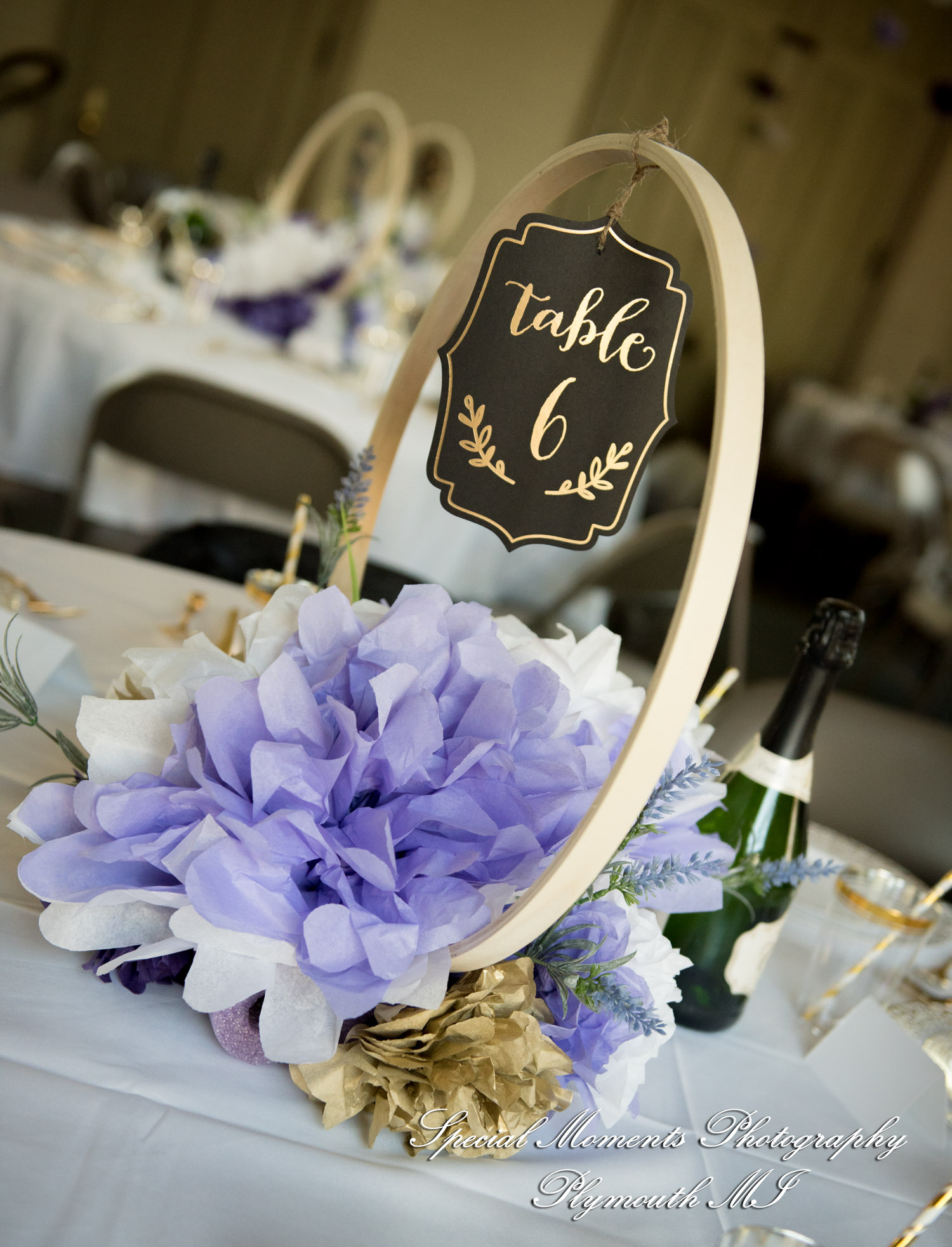 Lissy & Stephen at Chelsea Depot Train Station Chelsea MI wedding photography