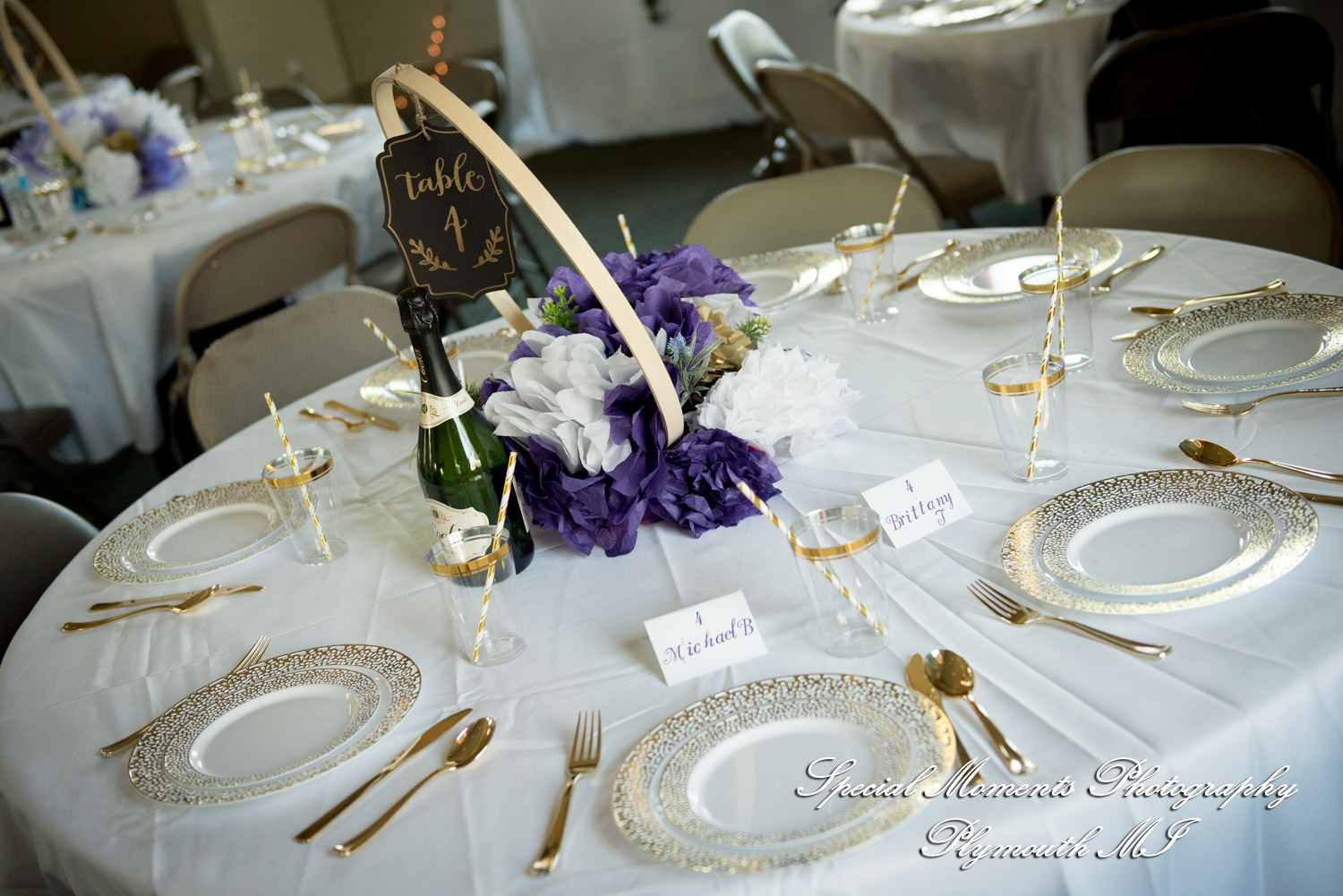 Lissy & Stephen at Chelsea Depot Train Station Chelsea MI wedding photography