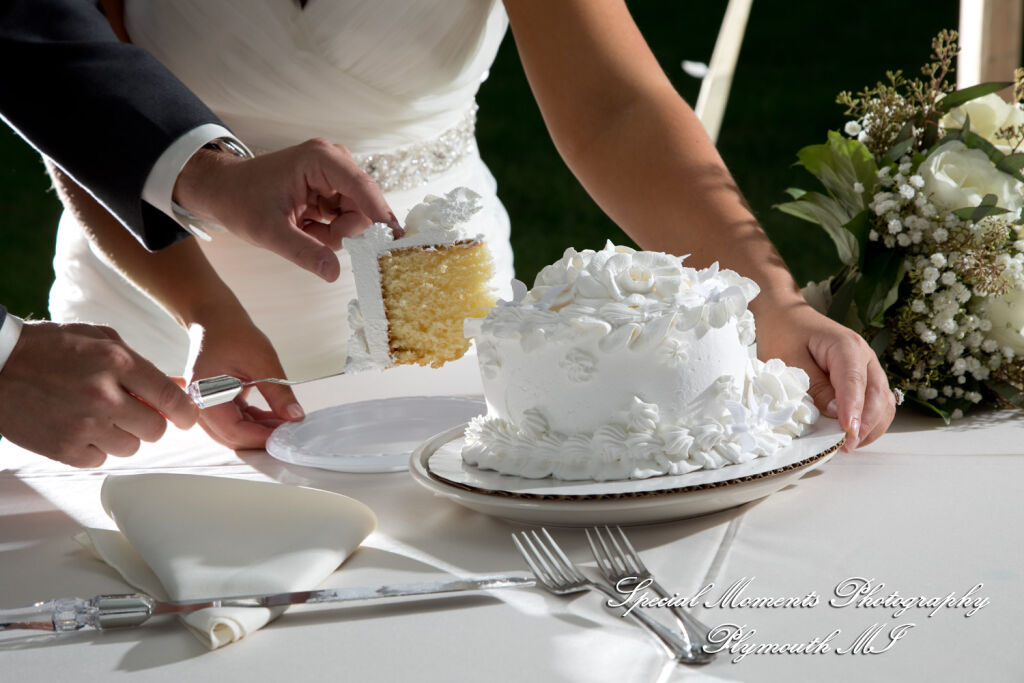 Jenna & Alex at Woodside Bible Church Plymouth MI wedding photography