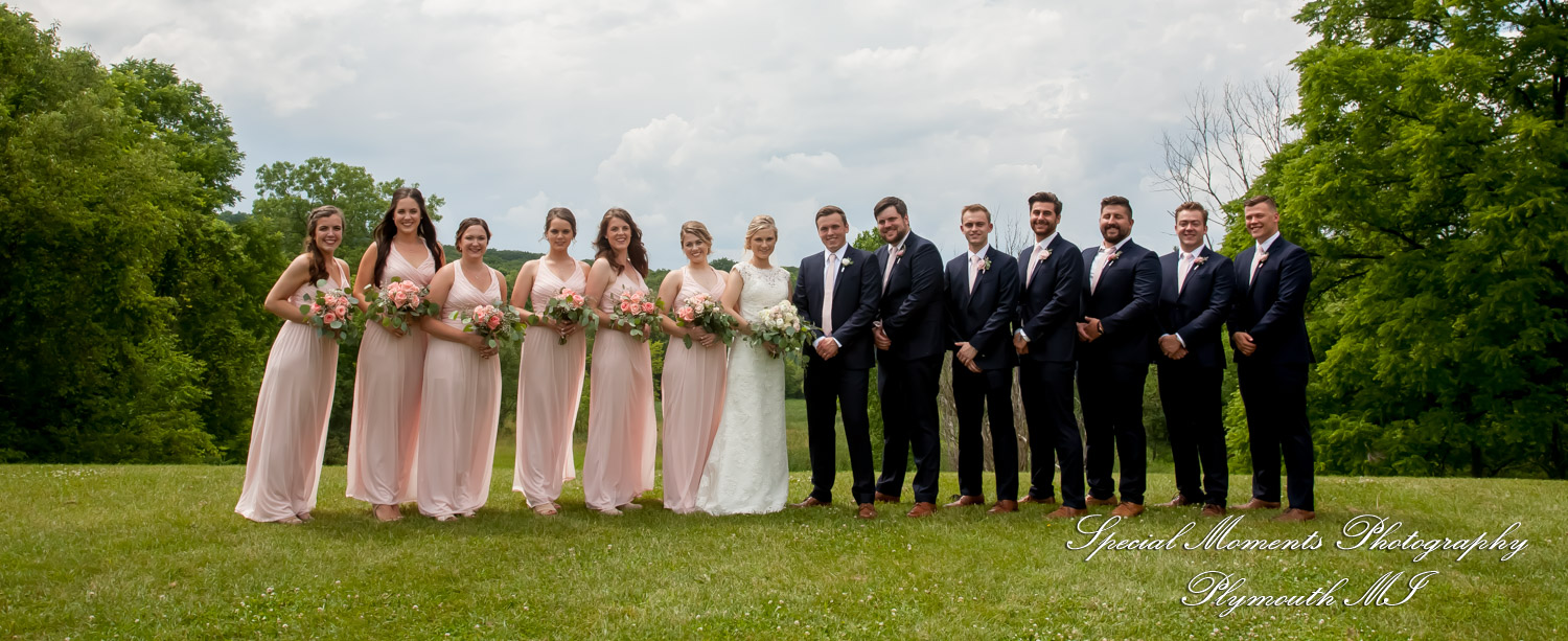 Meghan & Andrew at Heritage Park Farmington Hills MI wedding photography
