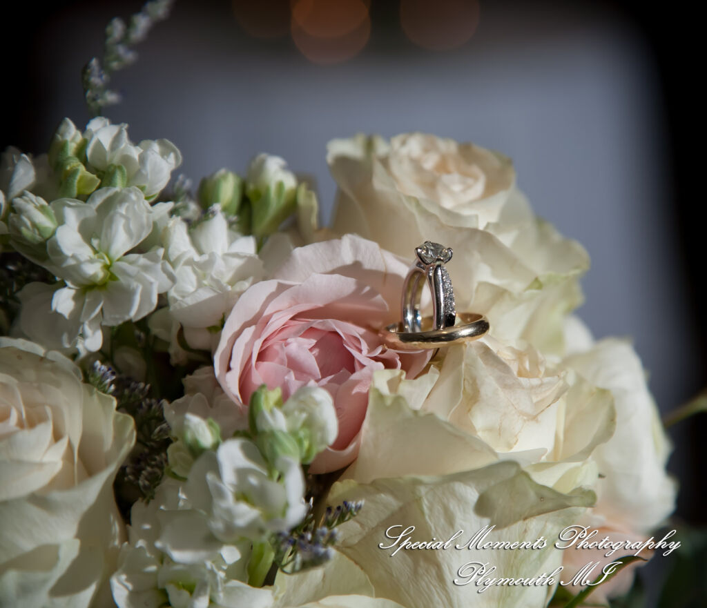 Meghan & Andrew at Glen Oaks Event Center Farmington Hills MI wedding photography