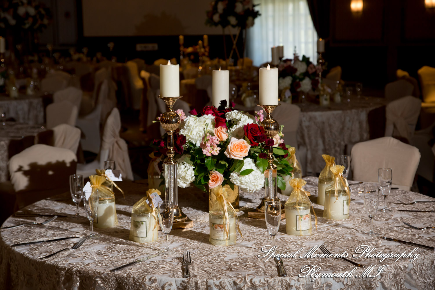 Alisha & Roahan at The Henry Autograph Collection Dearborn MI Hindu wedding photography