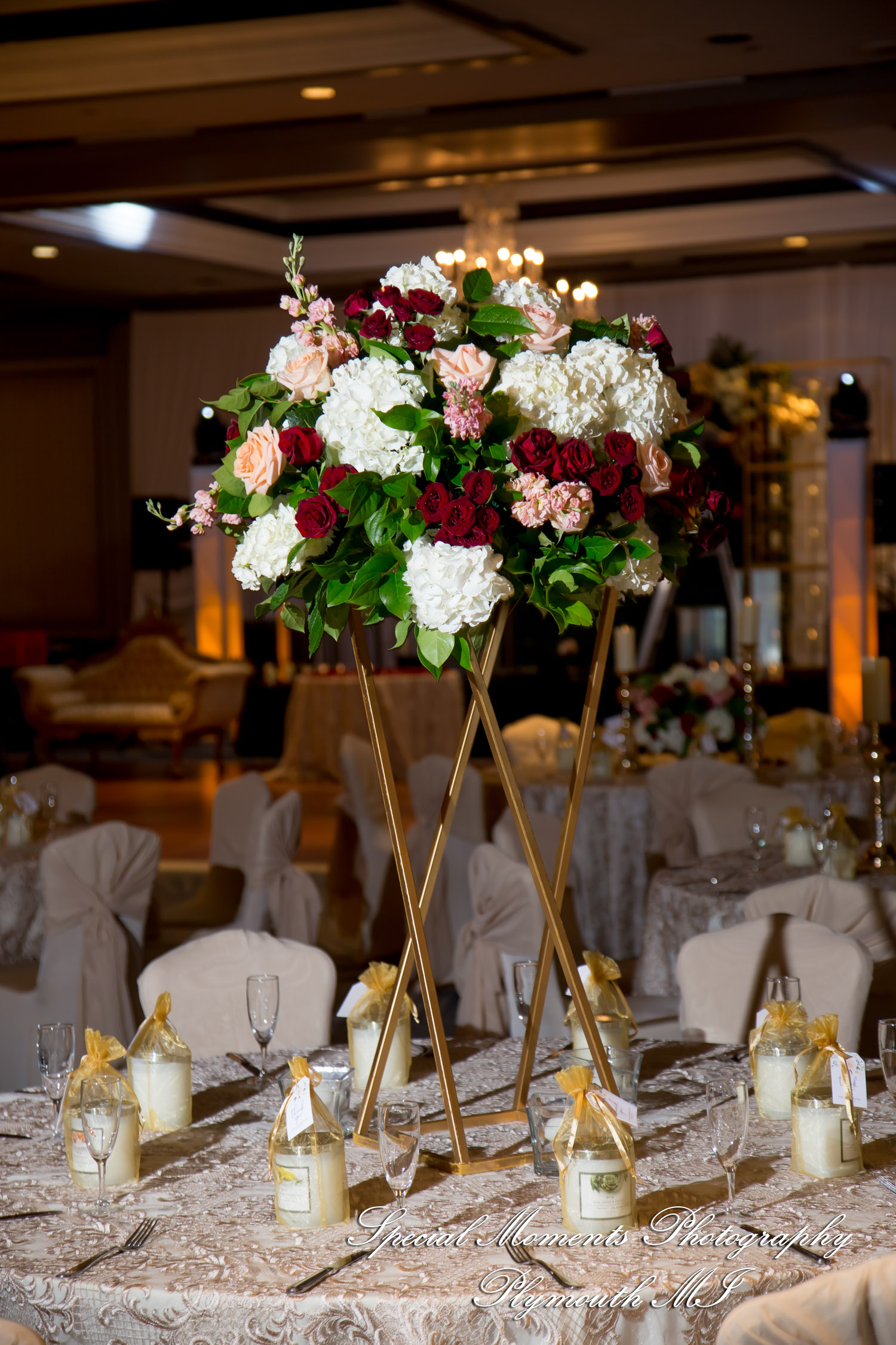 Alisha & Roahan at The Henry Autograph Collection Dearborn MI Hindu wedding photography