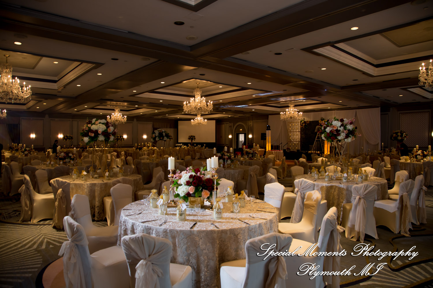 Alisha & Roahan at The Henry Autograph Collection Dearborn MI Hindu wedding photographye Henry Autograph Collection Dearborn MI wedding photography