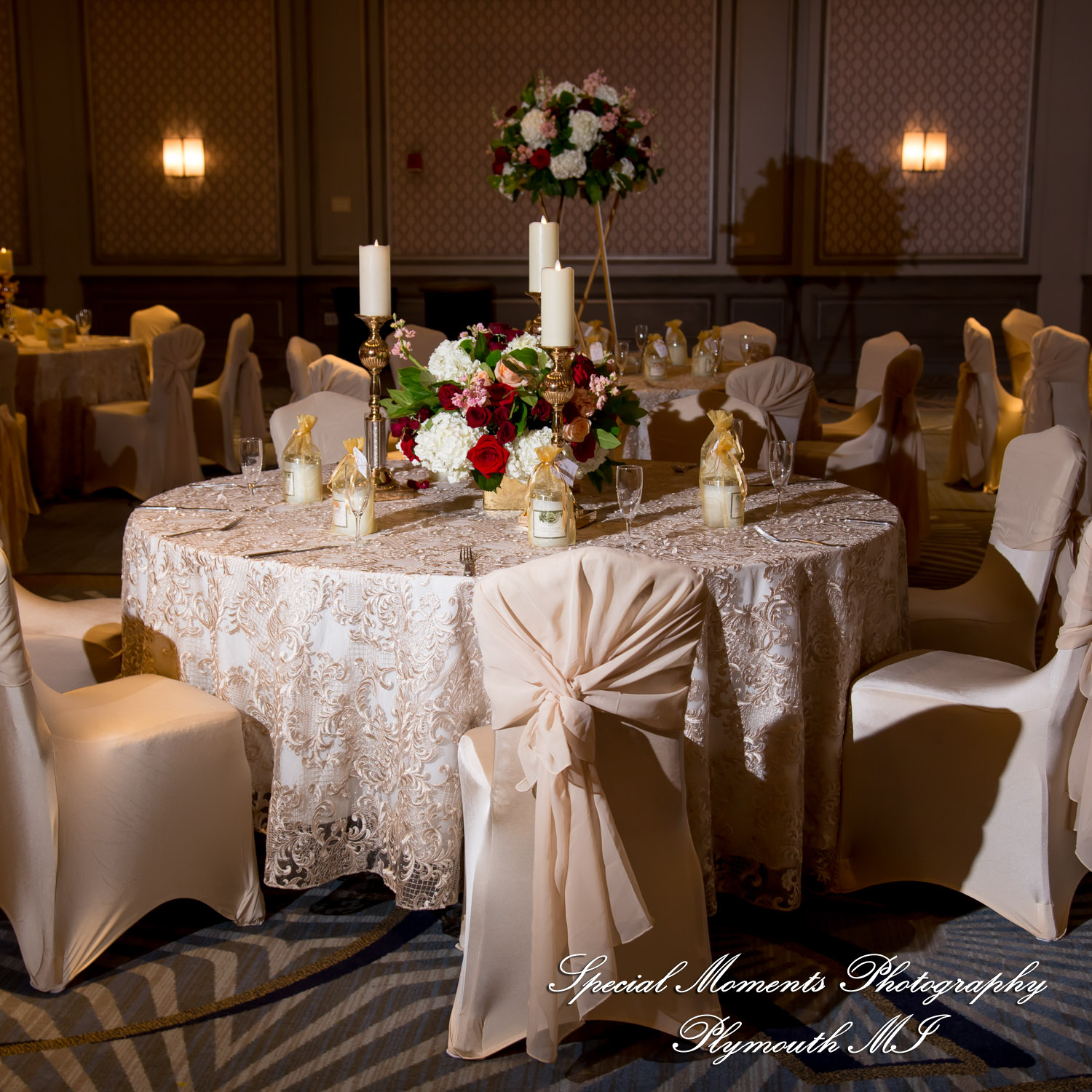 Alisha & Roahan at The Henry Autograph Collection Dearborn MI Hindu wedding photography