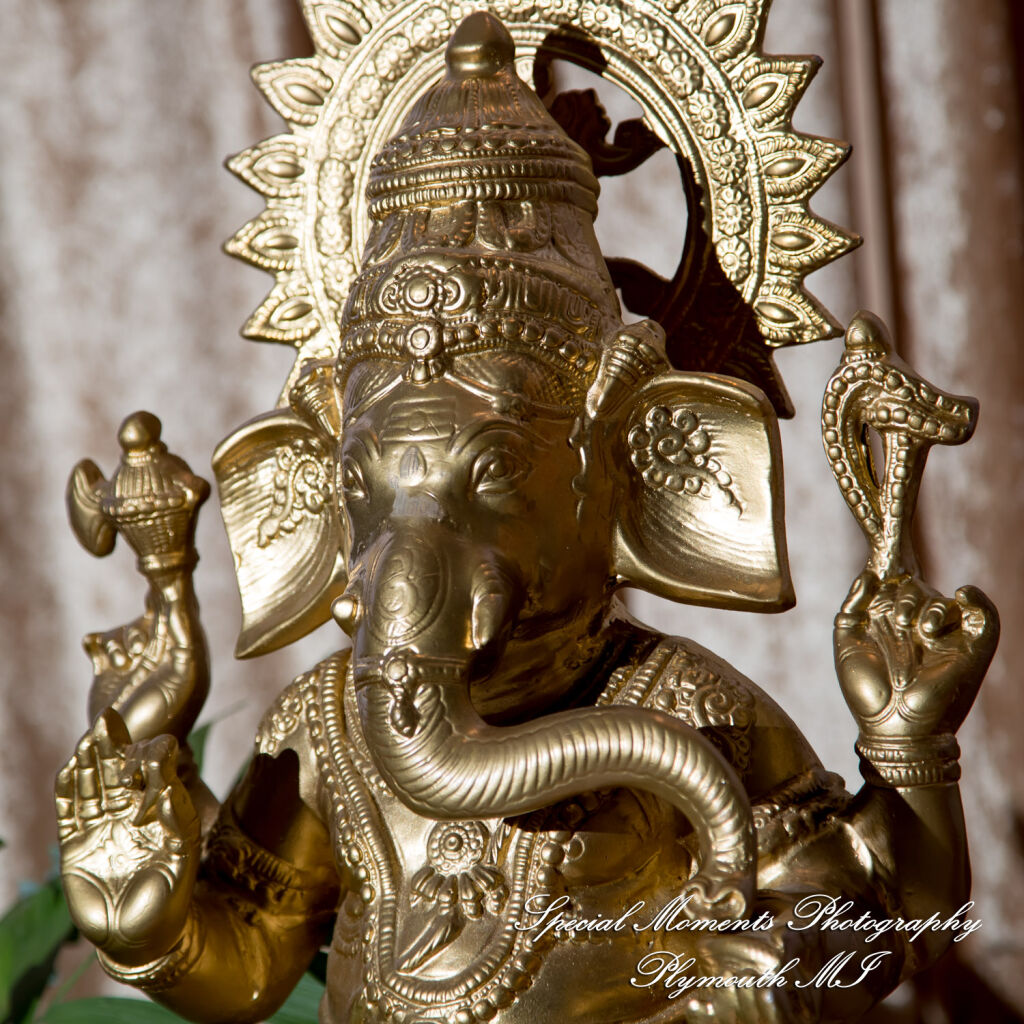 Alisha & Roahan at The Henry Autograph Collection Dearborn MI Hindu wedding photography