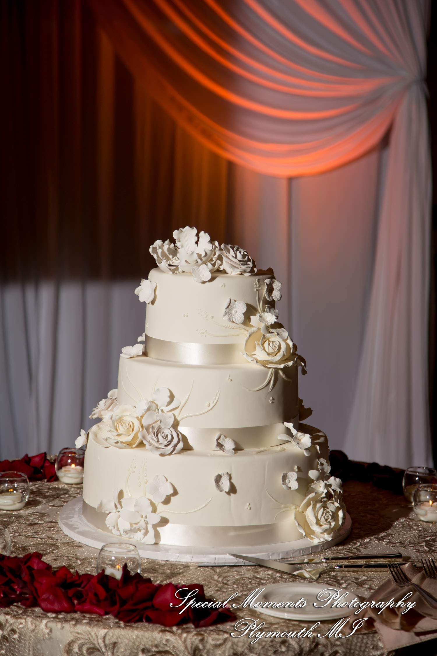 Alisha & Roahan at The Henry Autograph Collection Dearborn MI Hindu wedding photography