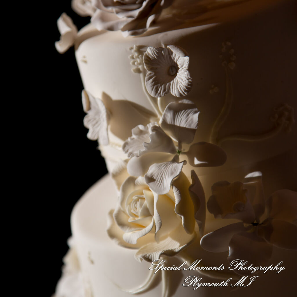 Alisha & Roahan at The Henry Autograph Collection Dearborn MI Hindu wedding photography
