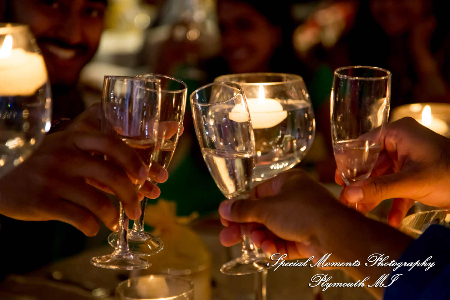 Alisha & Roahan at The Henry Autograph Collection Dearborn MI Hindu wedding photography