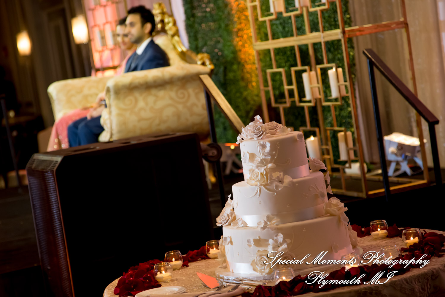 Alisha & Roahan at The Henry Autograph Collection Dearborn MI Hindu wedding photography