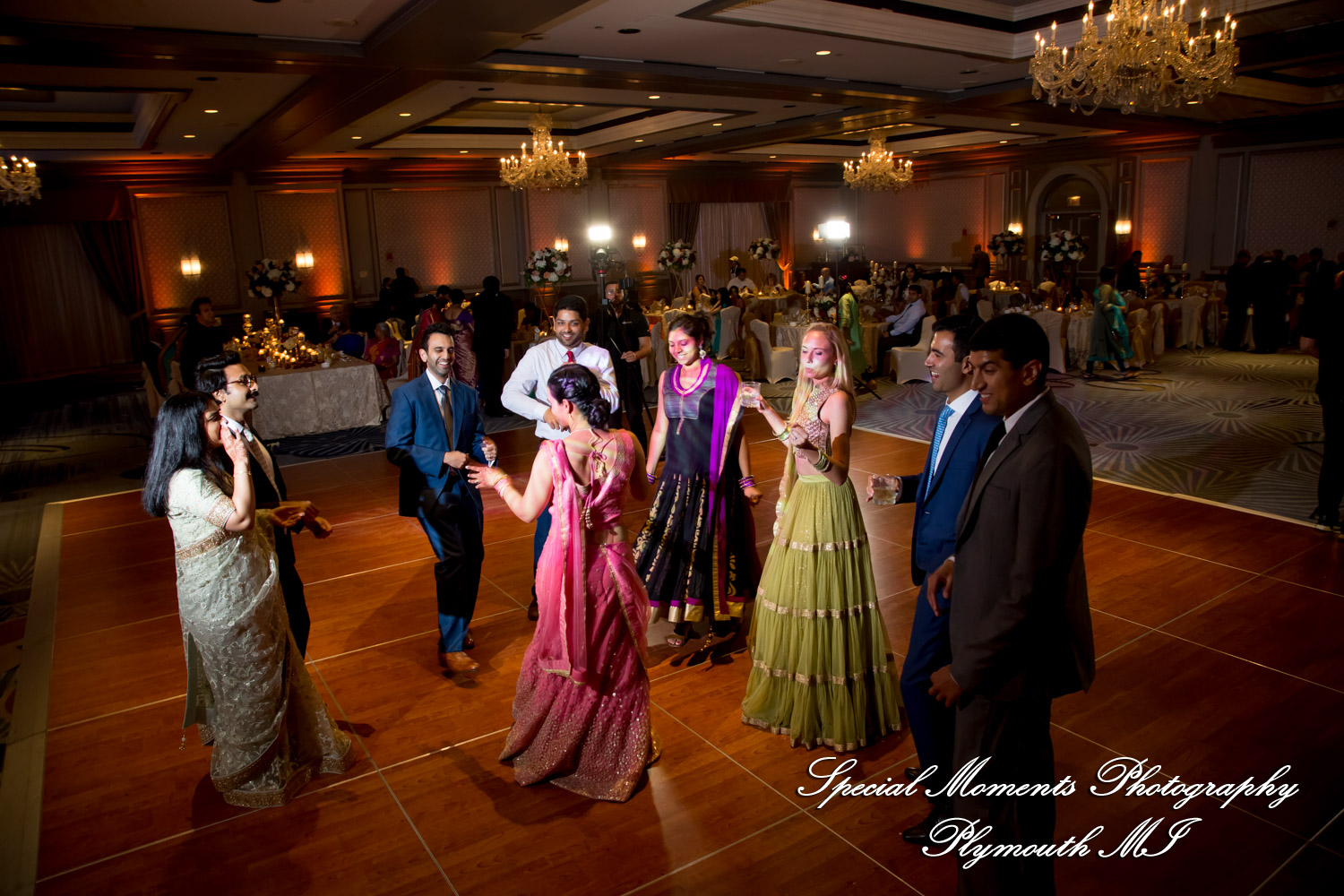 Alisha & Roahan at The Henry Autograph Collection Dearborn MI Hindu wedding photography